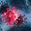 Vì sao mỗi loại virut chỉ có thể xâm nhập vào một số loại tế bào nhất định?